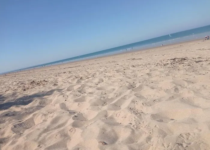 Maison Plain-pied A 150m De La Avec Jardin Clos Et Terrasse - - Fr-1-361-34 別荘 *